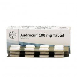 Андрокур таблетки 100 мг №30 в Находке и области фото