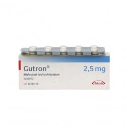 Гутрон таблетки 2,5 мг. №20 в Находке и области фото