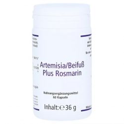 Артемизинин 150 мг капс. 60шт в Находке и области фото