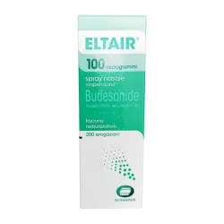 Будостер спрей полный аналог Италия Eltair спрей 100мкг фл. 200доз